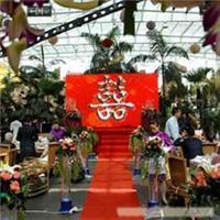 太原市迎澤區(qū)浪漫一生禮儀慶典服務(wù)部 一站式婚慶服務(wù)指南